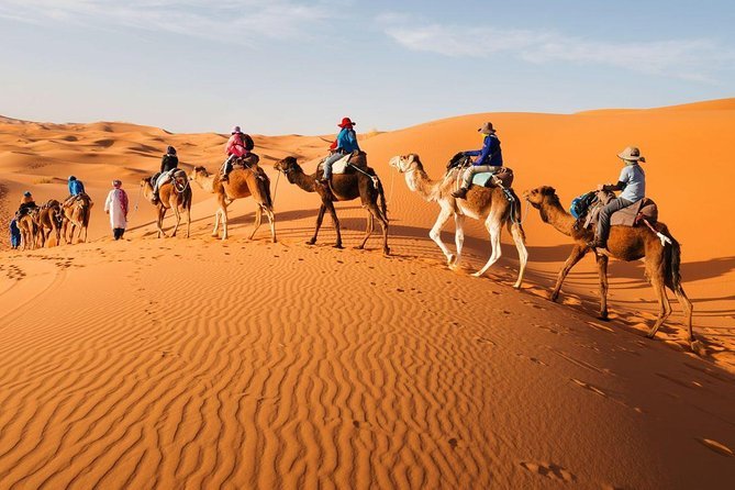 Sahara Desert
